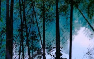 519长镜头是什么_如何拍摄519长镜头