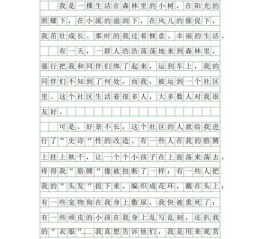 想象的作文400字怎么写_想象作文如何得高分