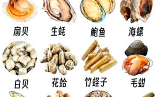孕妇能吃贝壳类海鲜吗_孕妇吃贝类对胎儿好吗