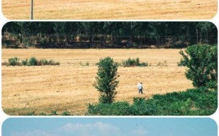 75-300镜头适合拍什么_如何拍出清晰远景