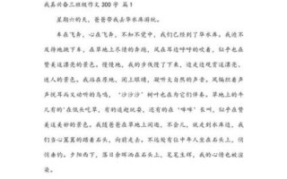 我真高兴作文怎么写_我真高兴作文300字范文