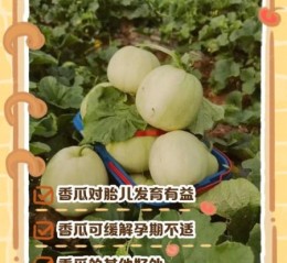孕妇能吃香瓜吗_香瓜对胎儿有影响吗