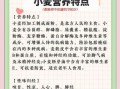 孕妇可以吃小麦吗_孕期吃小麦的注意事项