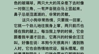 我家的小狗作文怎么写_三年级300字范文