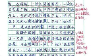 六年级优秀作文怎么写_如何写出生动细节