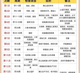 孕妇彩超检查时间_孕妇彩超检查注意事项