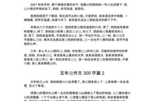 五年级作文怎么写_300字作文怎么写