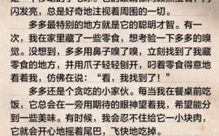 小狗作文怎么写_两百字范文技巧