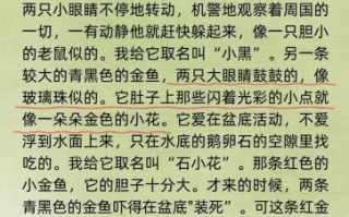 小学生作文怎么写_如何快速提高语文作文水平