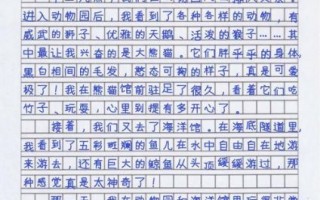 300字作文怎么写_小学生300字作文写作技巧