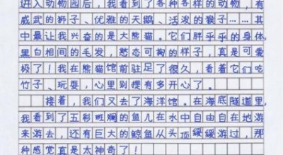 300字作文怎么写_小学生300字作文写作技巧