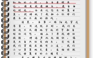 夏日趣事作文400字怎么写_如何写出高分范文