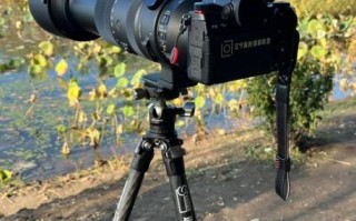 m6镜头画质怎么样_适马m6镜头值得买吗