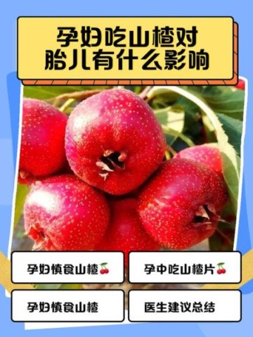 孕妇能吃山楂吗_山楂对胎儿的影响