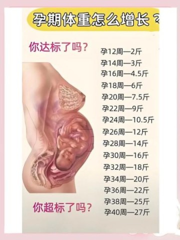 孕妇体重增长标准_孕期体重怎么控制