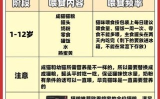 小猫咪怎么养_小猫咪爱吃什么