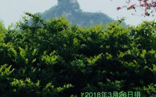 雀儿山公园作文怎么写_有哪些写作技巧