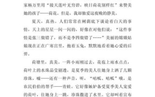 夏天的夜晚怎么写_夏天夜晚作文素材