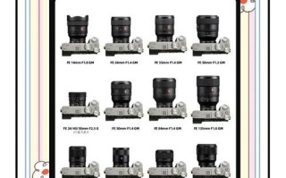 16镜头相机怎么选_16镜头相机值得买吗