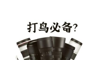 打鸟用什么镜头_打鸟镜头推荐