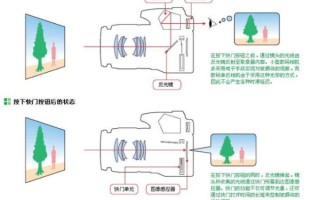 单镜头反光照相机怎么选_单反相机入门教程