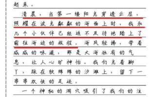 暑假二三事作文怎么写_800字范文怎么写