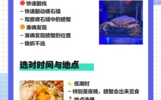 海边捉螃蟹技巧_去海边怎么抓螃蟹