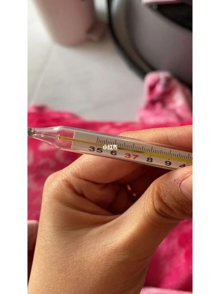 孕妇体温多少算正常_孕妇体温37.3℃需要去医院吗-第2张图片-星辰妙记 孕妇体温多少算正常_孕妇体温37.3℃需要去医院吗-第2张图片-星辰妙记
