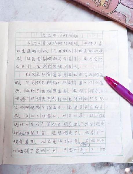 小学生作文怎么写_如何辅导孩子写作文-第2张图片-星辰妙记 小学生作文怎么写_如何辅导孩子写作文-第2张图片-星辰妙记