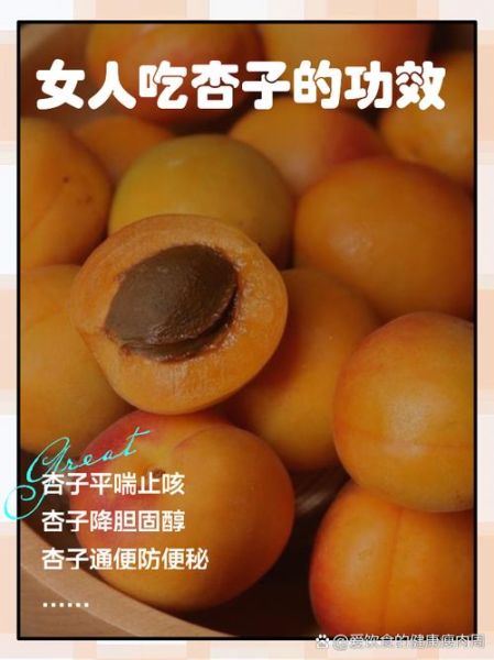 孕妇能吃杏吗_孕妇吃杏的注意事项-第2张图片-星辰妙记 孕妇能吃杏吗_孕妇吃杏的注意事项-第2张图片-星辰妙记
