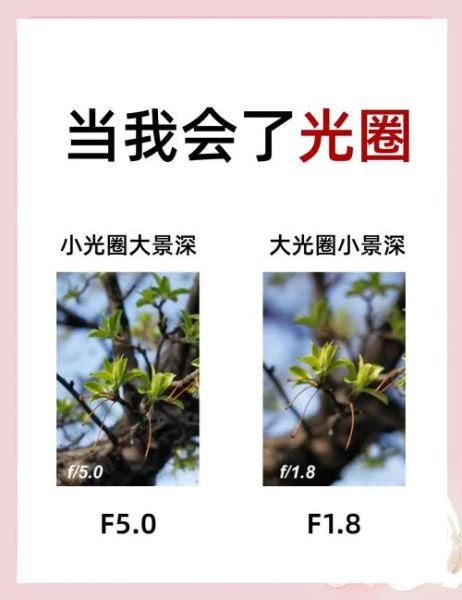 镜头光圈叶片越多越好吗_光圈叶片数对成像的影响-第3张图片-星辰妙记 镜头光圈叶片越多越好吗_光圈叶片数对成像的影响-第3张图片-星辰妙记