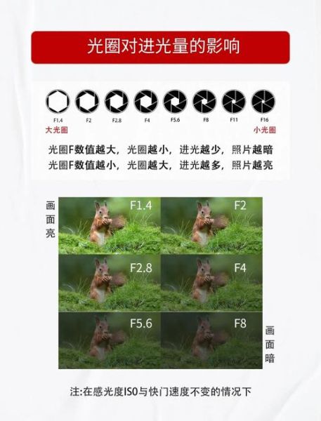 镜头光圈t值是什么_如何影响曝光-第2张图片-星辰妙记 镜头光圈t值是什么_如何影响曝光-第2张图片-星辰妙记