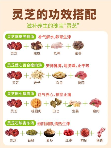 灵芝孕妇能吃吗_孕期吃灵芝安全吗-第1张图片-星辰妙记 灵芝孕妇能吃吗_孕期吃灵芝安全吗-第1张图片-星辰妙记