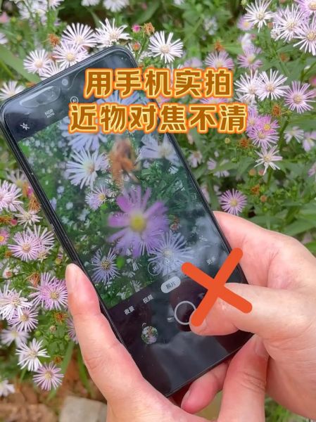 百微镜头怎么用_百微镜头适合拍什么-第2张图片-星辰妙记 百微镜头怎么用_百微镜头适合拍什么-第2张图片-星辰妙记