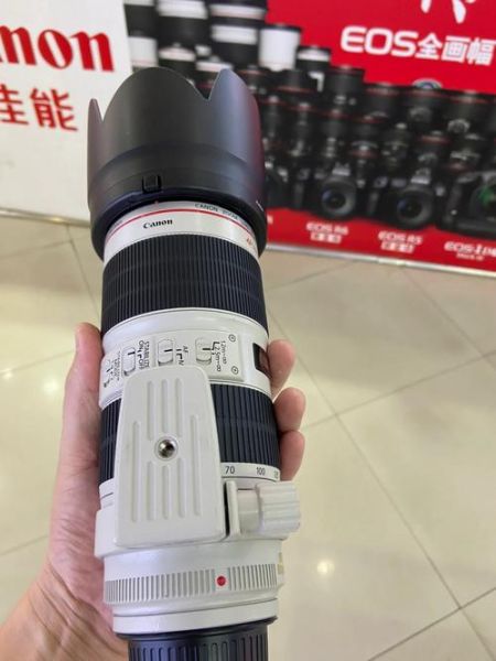 佳能小白兔镜头值得买吗_佳能小白兔镜头适合拍什么-第1张图片-星辰妙记 佳能小白兔镜头值得买吗_佳能小白兔镜头适合拍什么-第1张图片-星辰妙记
