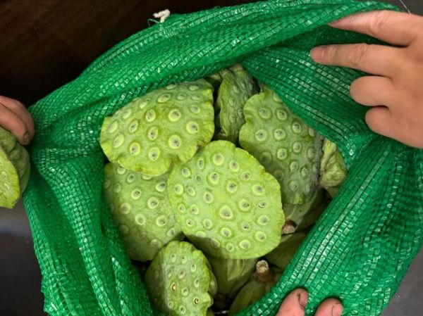 莲蓬孕妇可以吃吗_孕妇吃莲蓬的注意事项-第2张图片-星辰妙记 莲蓬孕妇可以吃吗_孕妇吃莲蓬的注意事项-第2张图片-星辰妙记