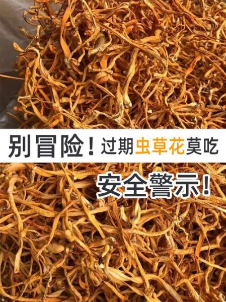 孕妇可以吃虫草花吗_孕期吃虫草花注意事项-第2张图片-星辰妙记 孕妇可以吃虫草花吗_孕期吃虫草花注意事项-第2张图片-星辰妙记