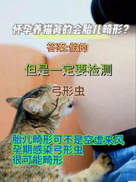 孕妇弓形虫检查方法_孕期感染筛查流程-第1张图片-星辰妙记 孕妇弓形虫检查方法_孕期感染筛查流程-第1张图片-星辰妙记