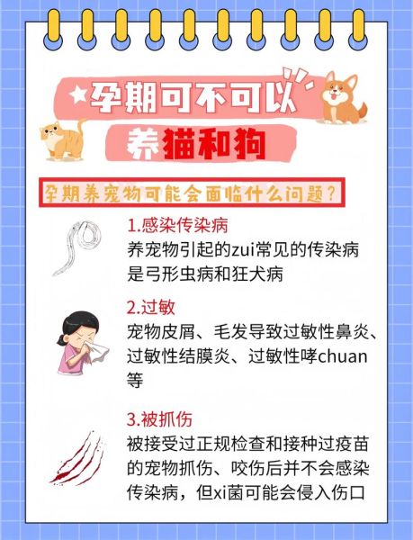 孕妇弓形虫检查方法_孕期感染筛查流程-第3张图片-星辰妙记 孕妇弓形虫检查方法_孕期感染筛查流程-第3张图片-星辰妙记
