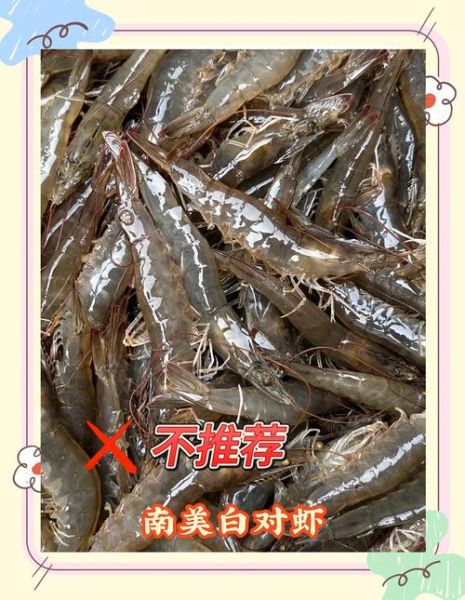 孕妇能吃基围虾吗_怀孕吃虾注意事项-第1张图片-星辰妙记 孕妇能吃基围虾吗_怀孕吃虾注意事项-第1张图片-星辰妙记
