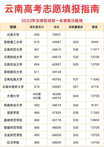 云南省大学排名前十有哪些_云南高校录取分数线是多少-第1张图片-星辰妙记 云南省大学排名前十有哪些_云南高校录取分数线是多少-第1张图片-星辰妙记