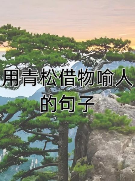 青松的精神象征是什么_如何借青松写作文-第3张图片-星辰妙记 青松的精神象征是什么_如何借青松写作文-第3张图片-星辰妙记