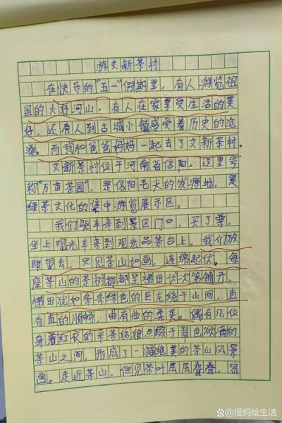 乡村旅游怎么写_乡村旅游作文开头怎么写-第1张图片-星辰妙记 乡村旅游怎么写_乡村旅游作文开头怎么写-第1张图片-星辰妙记