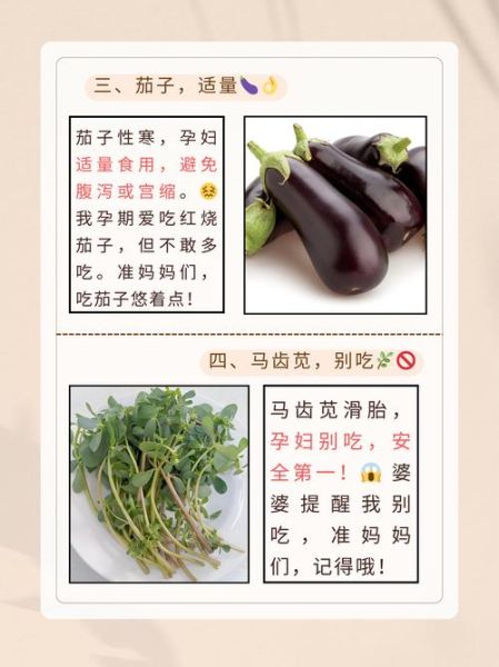 孕妇不能吃哪些蔬菜_孕期忌口蔬菜清单-第3张图片-星辰妙记 孕妇不能吃哪些蔬菜_孕期忌口蔬菜清单-第3张图片-星辰妙记