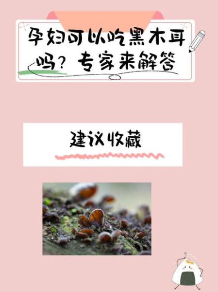 孕妇可以吃黑木耳吗_黑木耳对孕妇的好处与禁忌-第1张图片-星辰妙记 孕妇可以吃黑木耳吗_黑木耳对孕妇的好处与禁忌-第1张图片-星辰妙记