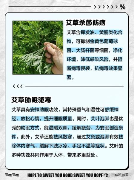 孕妇能闻艾草吗_艾草对孕妇有影响吗-第2张图片-星辰妙记 孕妇能闻艾草吗_艾草对孕妇有影响吗-第2张图片-星辰妙记