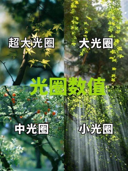 相机镜头光圈怎么调_光圈大小对成像的影响-第3张图片-星辰妙记 相机镜头光圈怎么调_光圈大小对成像的影响-第3张图片-星辰妙记