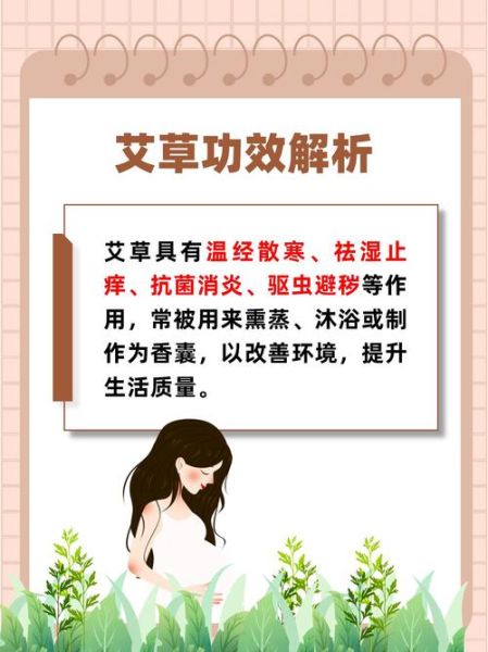 孕妇能闻艾草吗_艾草对孕妇有影响吗-第3张图片-星辰妙记 孕妇能闻艾草吗_艾草对孕妇有影响吗-第3张图片-星辰妙记