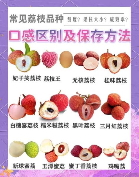 孕妇吃荔枝对胎儿好吗_孕妇吃荔枝注意事项-第1张图片-星辰妙记 孕妇吃荔枝对胎儿好吗_孕妇吃荔枝注意事项-第1张图片-星辰妙记