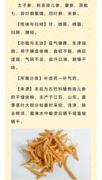 太子参孕妇可以吃吗_太子参对胎儿有影响吗-第1张图片-星辰妙记 太子参孕妇可以吃吗_太子参对胎儿有影响吗-第1张图片-星辰妙记